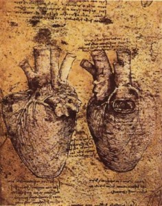 Leonardo da Vinci “Corazón” en Cuaderno de apuntes1510